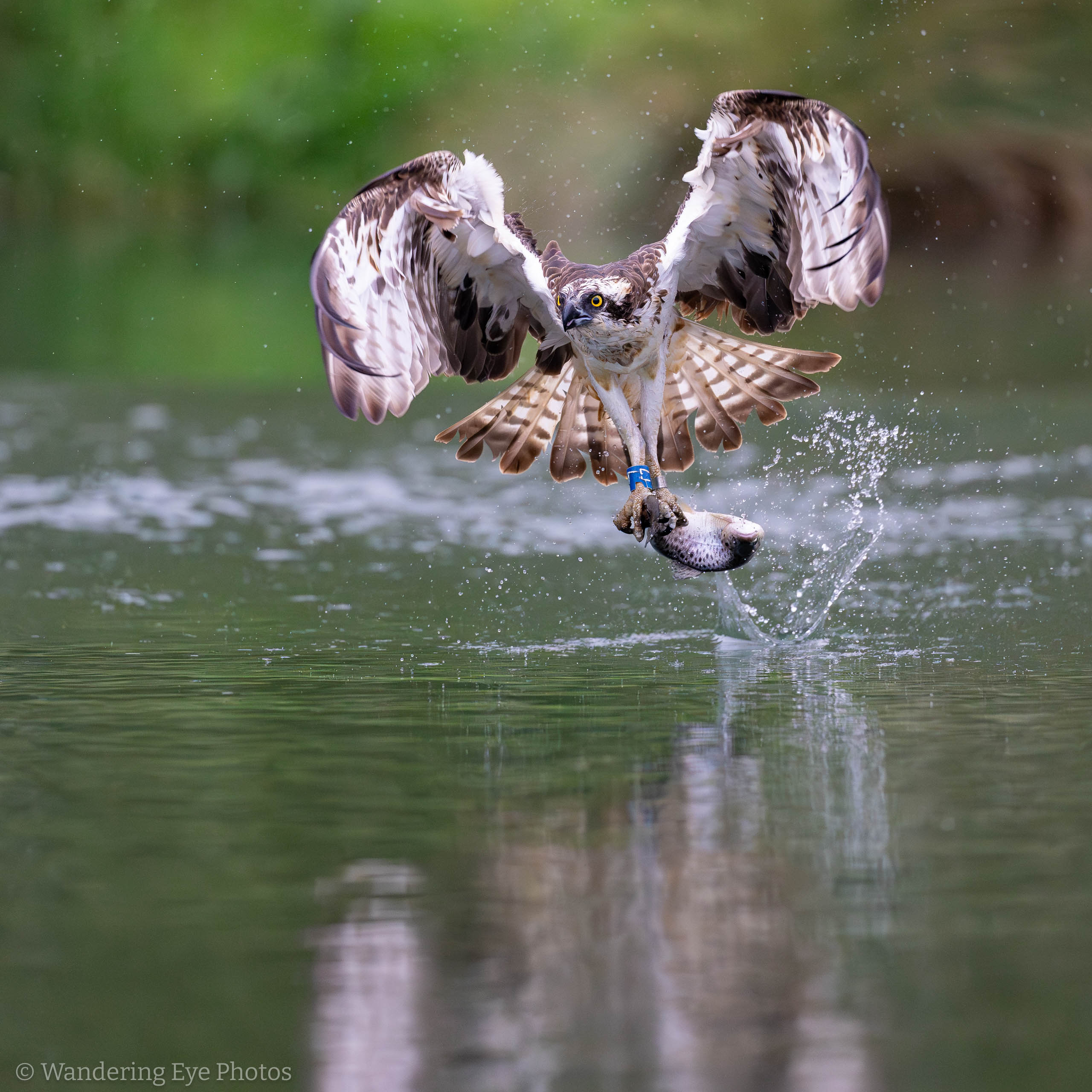 05.31 19.39.13 DSC04653 Enhanced NR